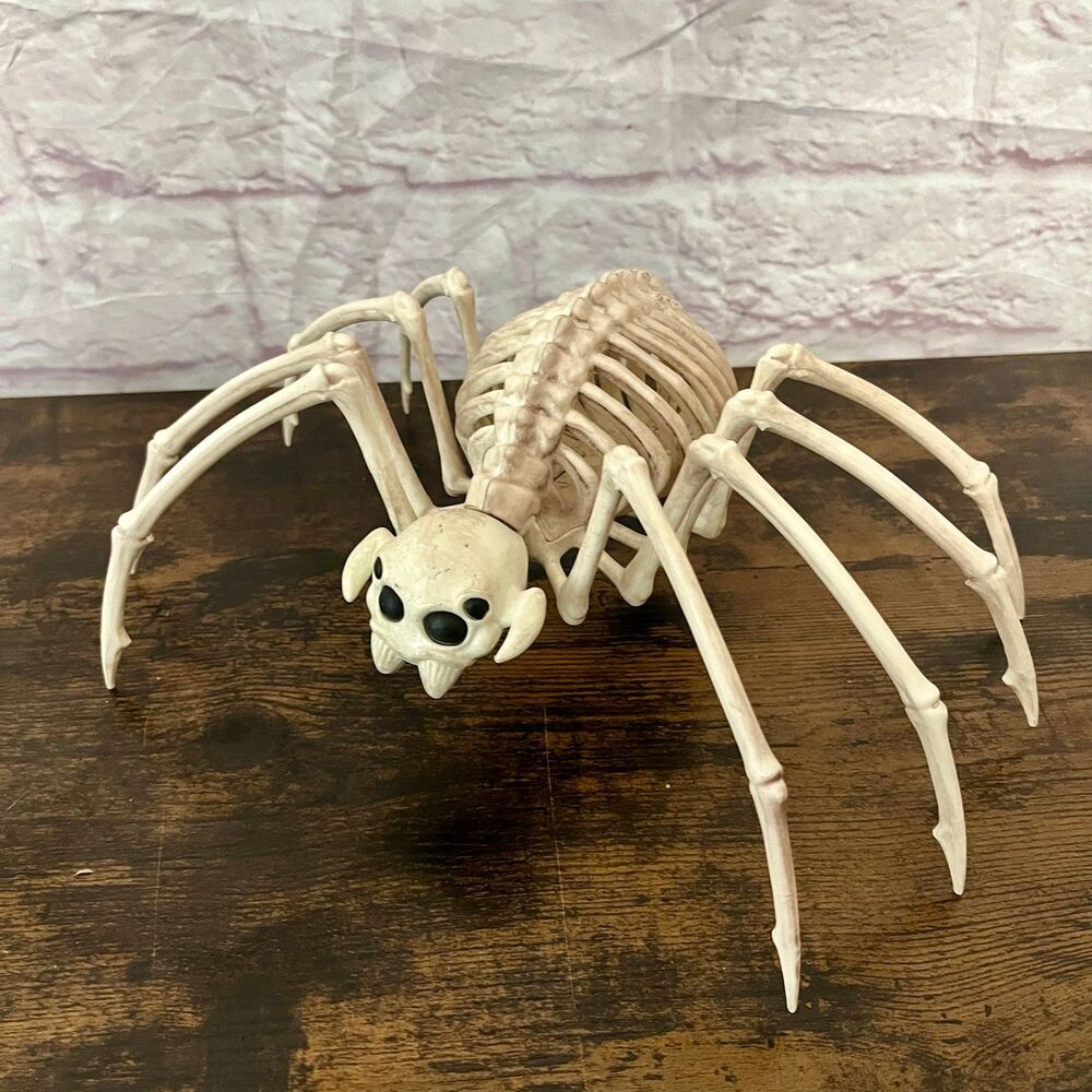 Seasons Crazy Bonez Spider Skeleton Halloween Creepy Crawly Bones Decor